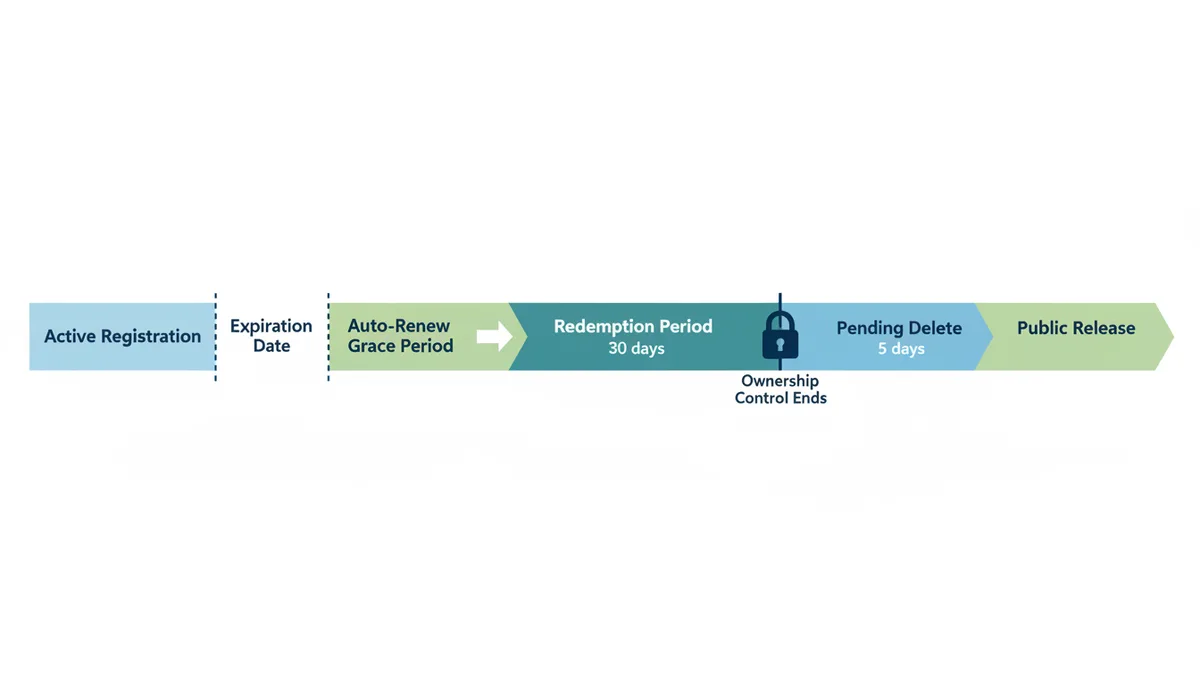 A horizontal timeline showing the stages of a domain's expiration lifecycle: Active Registration, Expiration Date, Auto-Renew Grace Period, Redemption Period, Pending Delete, and Public Release. A marker indicates where ownership control ends.